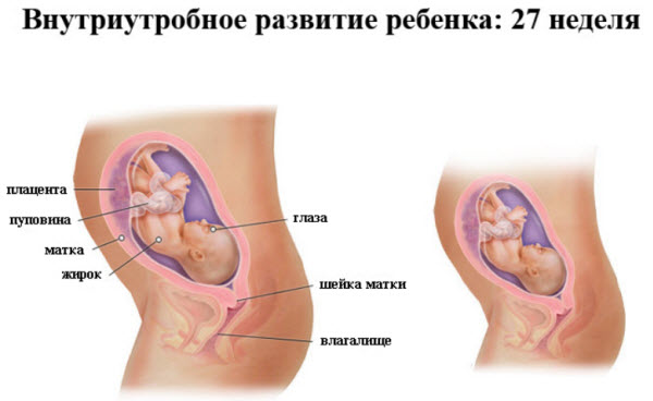 советы диетолога о здоровом питании советы диетолога о здоровом питании
