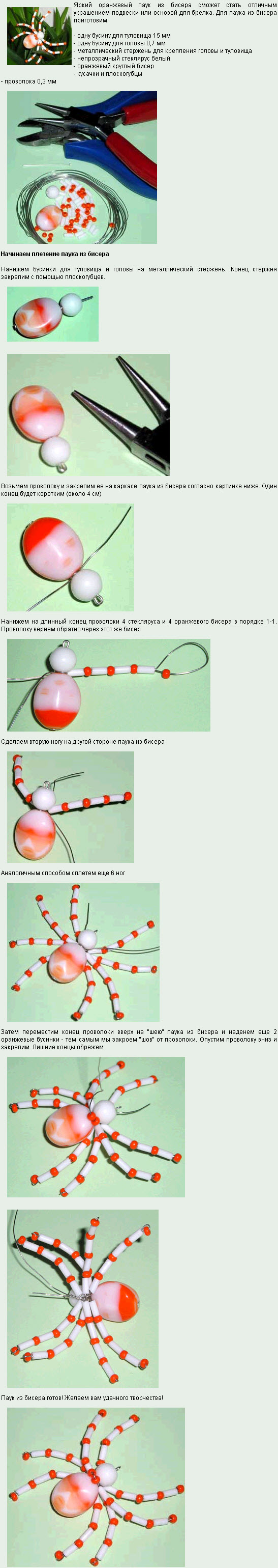 biseropletenie-uroki-nachinayuschih1