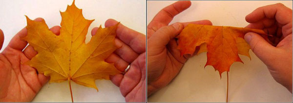 podarki_svoimi_rukami_roz_1