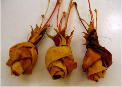 podarki_svoimi_rukami_roz_11