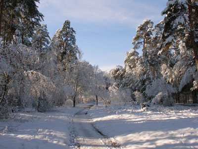 podmoskove_44