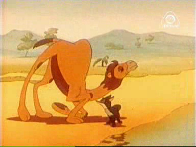 Шакалёнок и верблюд     СОЮЗМУЛЬТФИЛЬМ    1956 г.